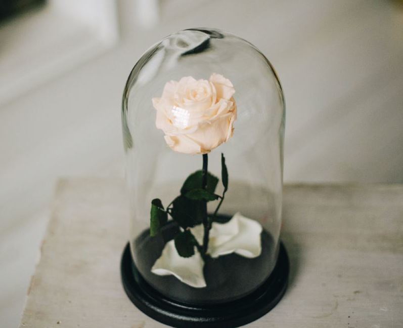 Премиум кремовая