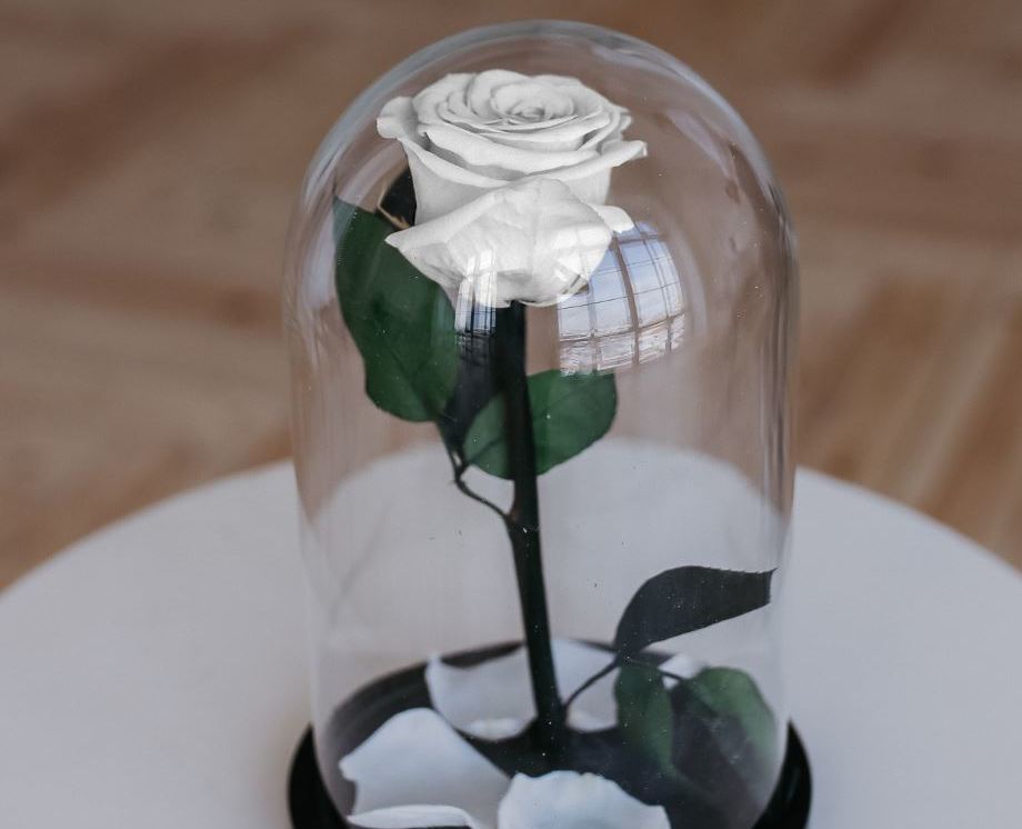 Премиум белая