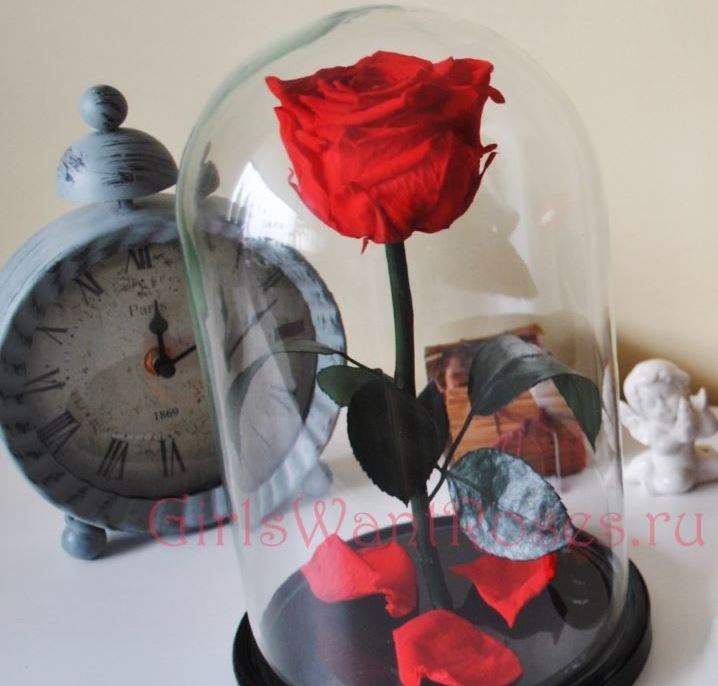 Премиум Красная