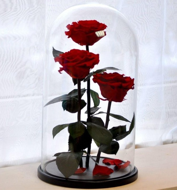 тройная вечная роза фото