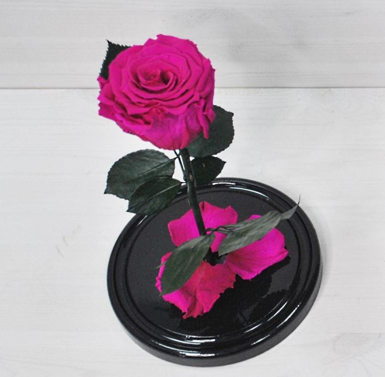 Премиум фуксия